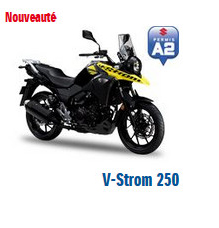 V-STROM 250